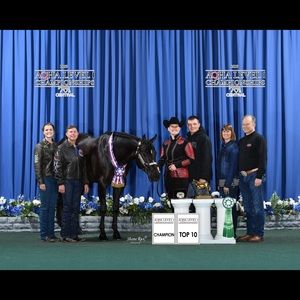 Meet your Posher, Amanda